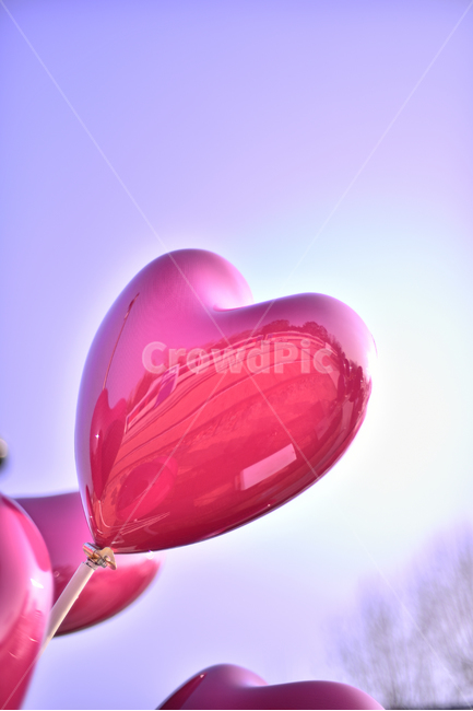 하트,풍선,러브,오브젝트,진분홍색,공원,야외,옥외,아웃도어,outdoor,symbol,심볼,상징,아이콘,love,모양,형상,하늘,꿈,기념일,축하,anniversary,congratulation,celebrate,celebration