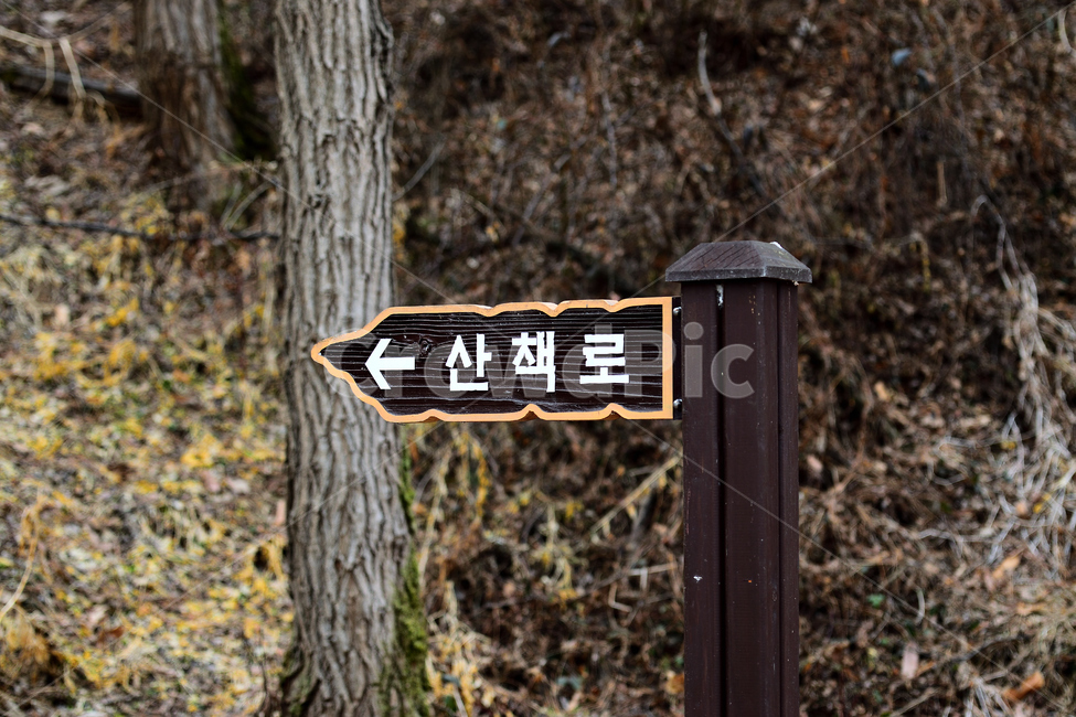 표지판,산책로,표시,표지,방향,지시,안내