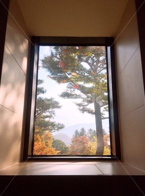 가을,창밖,출구,창문,희망,가을,계절,fall,autumn,season,인테리어,실내디자인,interior design