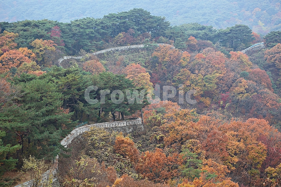 남한산성,성,성곽,단풍,낙엽,길,둘레길,숲,숲길,담,돌담,가을,자연,풍경,벽,울긋불긋,산성,식물,가을,계절,fall,autumn,season