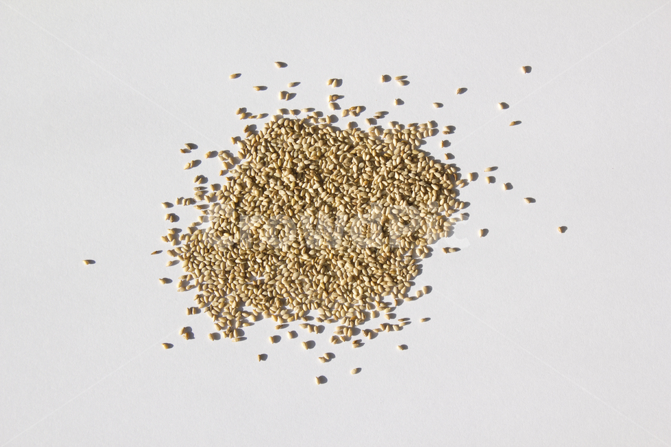 brown,closeup,dry,dummy,food,gold,grain,macro,meal,natural,nature,organic,plant,seed,seeds,sesame,sesameseed,sesameseeds,top,topangle,topview,yellow,깨,참깨,곡식,곡류,음식,음식재료,식재료,식물,씨앗,씨,갈색,브라운,말린,말리는,건조,자연,클로즈업,탑앵글,탑뷰,깨소금,농작물,농촌,농사,흰배경,더미,덩어리,많은,모아놓은,모으다,화이트,흰색,곡류,곡식,cereals
