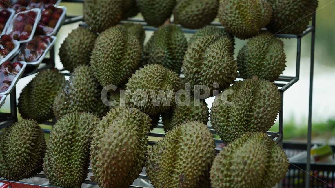 두리안,과일,열대과일,녹색,뾰족한,베트남과일,과일,열매,fruit