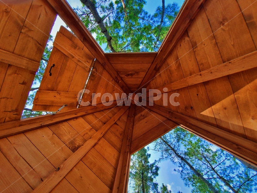 wood,나무,window,창문,건축물,architecture,building,건물,건축대칭,대칭