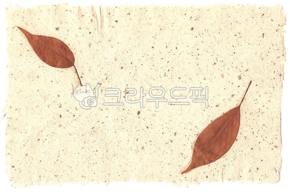 수제종이,낡은종이,배경,텍스쳐,질감,종이,handmadepaper,texture,paper,빈티지,vintage,조직,leaf,잎,background
