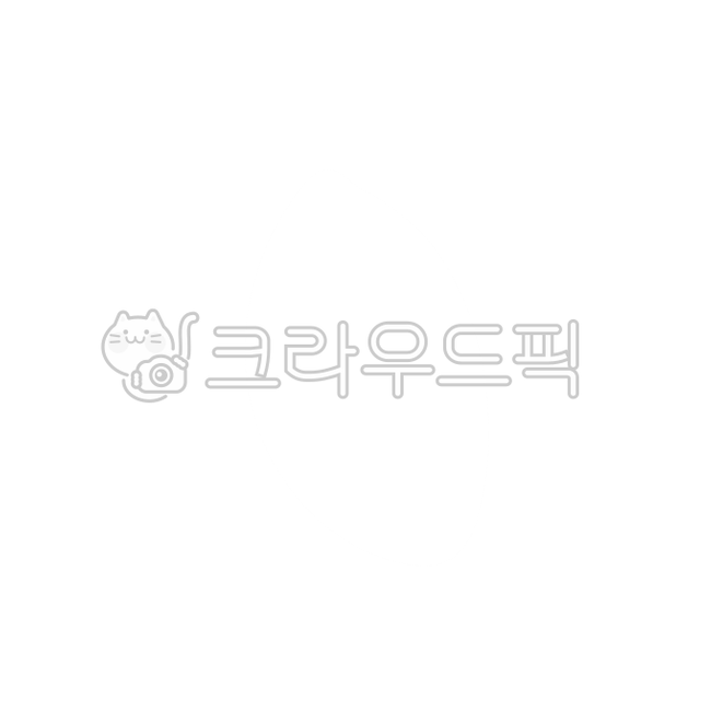 쌀,밥,쌀밥,쌀알,밥알,밥풀,곡식,곡물,농사,농업,벼,벼농사,rice
