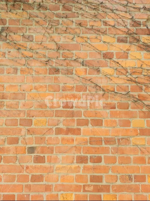 wall,brick,벽돌,패턴,텍스쳐,벽,질감,마감처리,적벽돌,텍스처,질감,패턴,texture,pattern