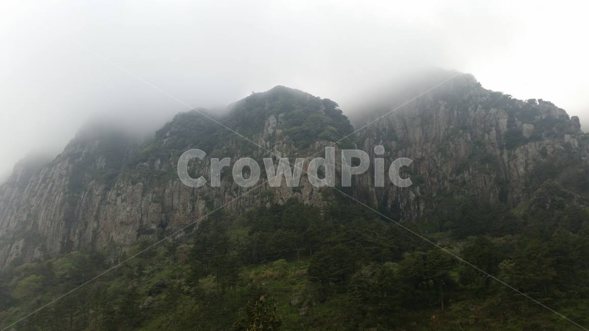 나무,숲,구름,산,안개,tree,forest,wood,수풀,삼림지대,thicket,woodland,mountain,mist,cloud