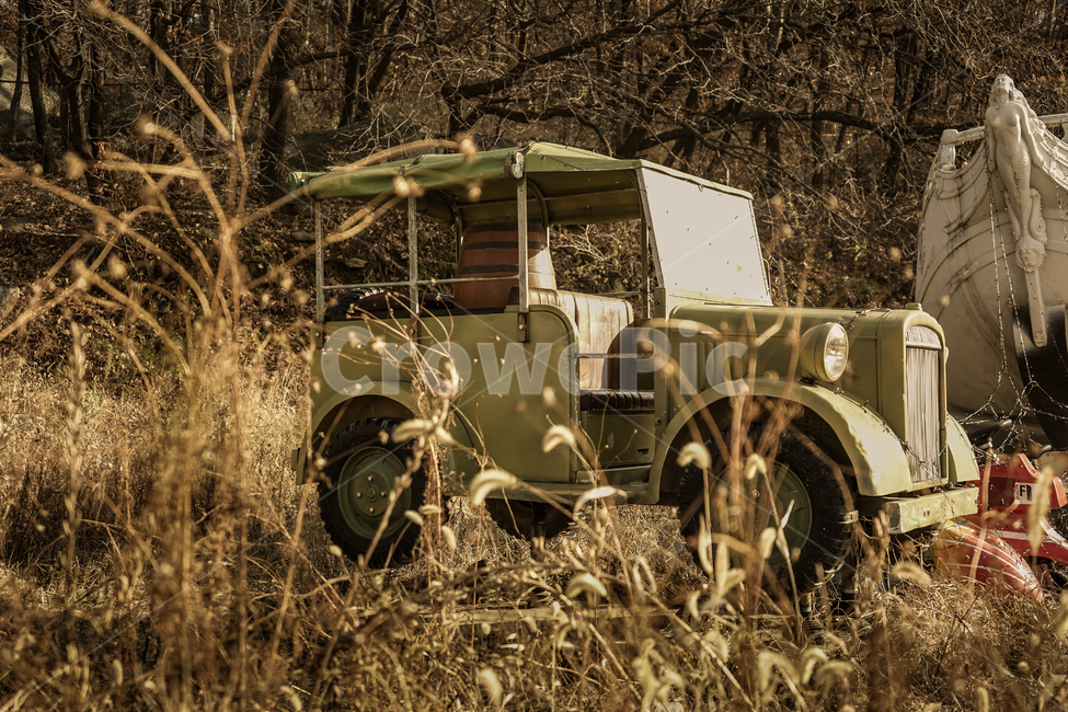 놀이공원,놀이기구,강아지풀,가을,자동차,car,빈티지사진,빈티지느낌,빈티지감성,vintage