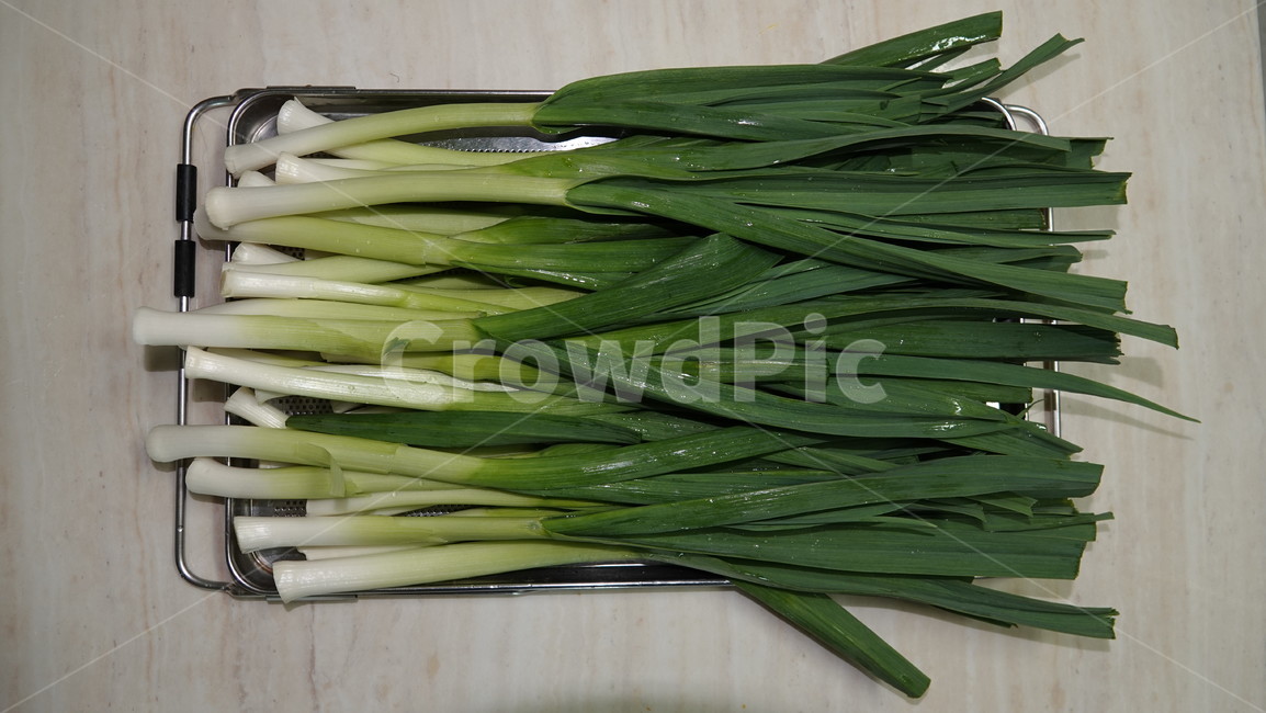 파,대파,plant,식물,garlic,음식,food