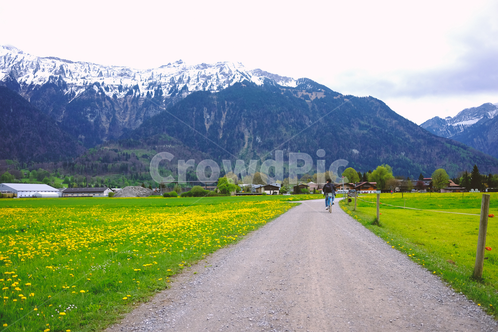 스위스,인터라켄,유럽,swiss,interlaken,자전거,시골,마을,길,꽃,산,눈,만년설,풍경,자연,풍경,nature,landscape,시골,마을,country,rural,town,해외,외국,세계,foreign,oversea,world,세계자연풍경,해외자연풍경,외국자연풍경,world nature landscape,road,도로,outdoors,옥외