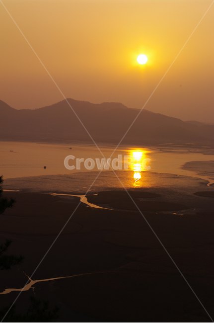 순천만,일몰,석양,노을,풍경,갈대밭,자연,풍경,nature,landscape,sunlight,햇빛,flare,플레어,light,빛,sky,하늘,outdoors,옥외,sunset,dusk,황혼,dawn,새벽,red sky,붉은 하늘