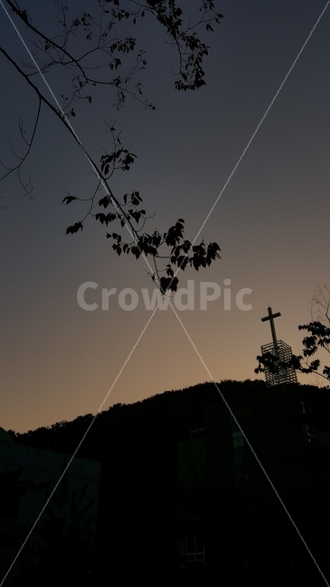 교회,십자가,나뭇잎,기도,가을,자연,풍경,nature,landscape,종교,신앙,religion,belief,faith,실루엣,그림자,silhouette,shadow,outdoors,옥외