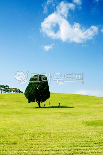 Olympic Park,sky,Hill,Alone tree,outcast tree,nature,tree,juniper,grassland,cloud,seoul,Field,korea,children,grass,plant,sight,park,lawn,Songpagu