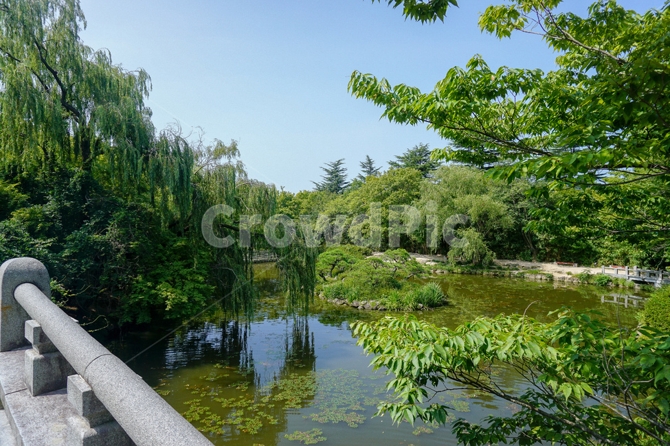 불국사,호수,정원,풍경,부처님오신날,자연,풍경,nature,landscape,water,물,outdoors,옥외,land,땅