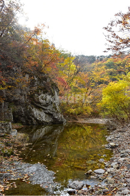 가을,단풍,울긋불긋,알록달록,형형색색,풍경,계절,시즌,아름다운,오색,주왕산,절골,계곡,비경,감성,힐링,가을,계절,fall,autumn,season,water,물,nature,자연,outdoors,옥외