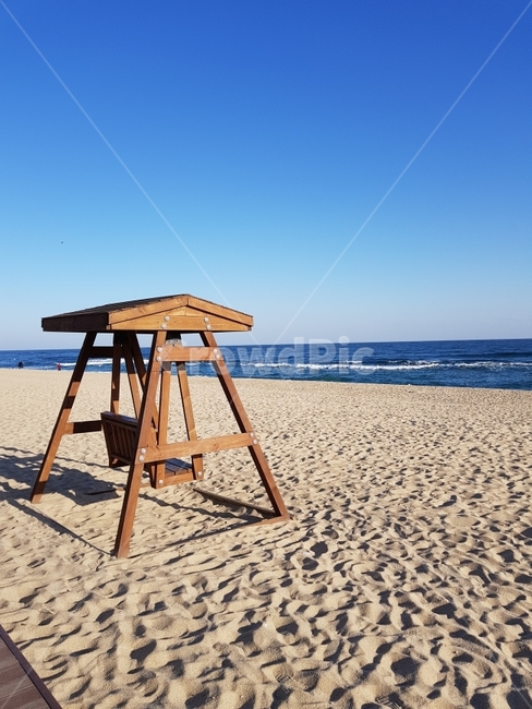 갈매기,바다,동해,해변,시원항,자연,자연,풍경,nature,landscape,해변,바다,beach,sea