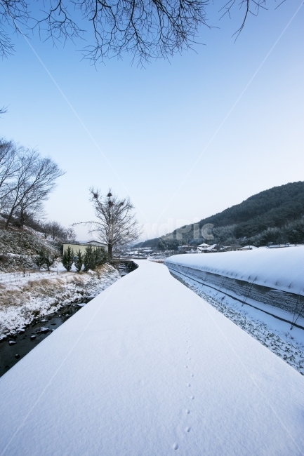 겨울,첫눈,감성,동네,하얀색,길,겨울,계절,winter,season,자연,풍경,nature,landscape,한국자연풍경,한국자연경관,korea nature landscape,시골,마을,country,rural,town,ice,얼음,outdoors,옥외,snow,눈