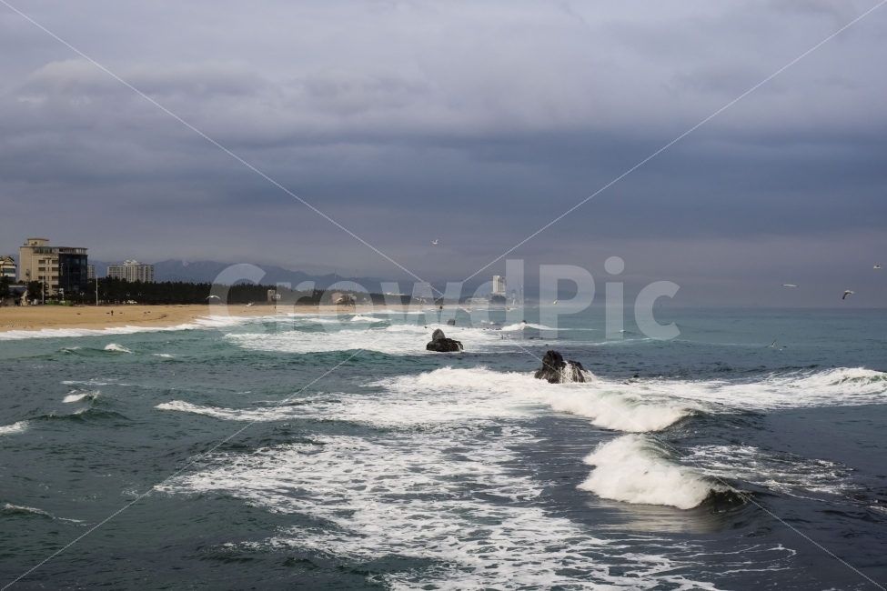 강원도,강릉,안목해변,동해,겨울,바다,동해바다,겨울바다,파도,구름,풍경,sea,wintersea,wave,cloud,landscpae,자연,풍경,nature,landscape,해변,바다,beach,sea,water,물,ocean,대양,outdoors,옥외,sea waves