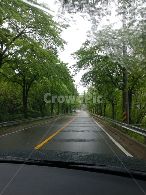 숲속,도로,아침,비오는도로,freeway,고속도로,tarmac,아스팔트,asphalt,highway,자연,풍경,nature,landscape