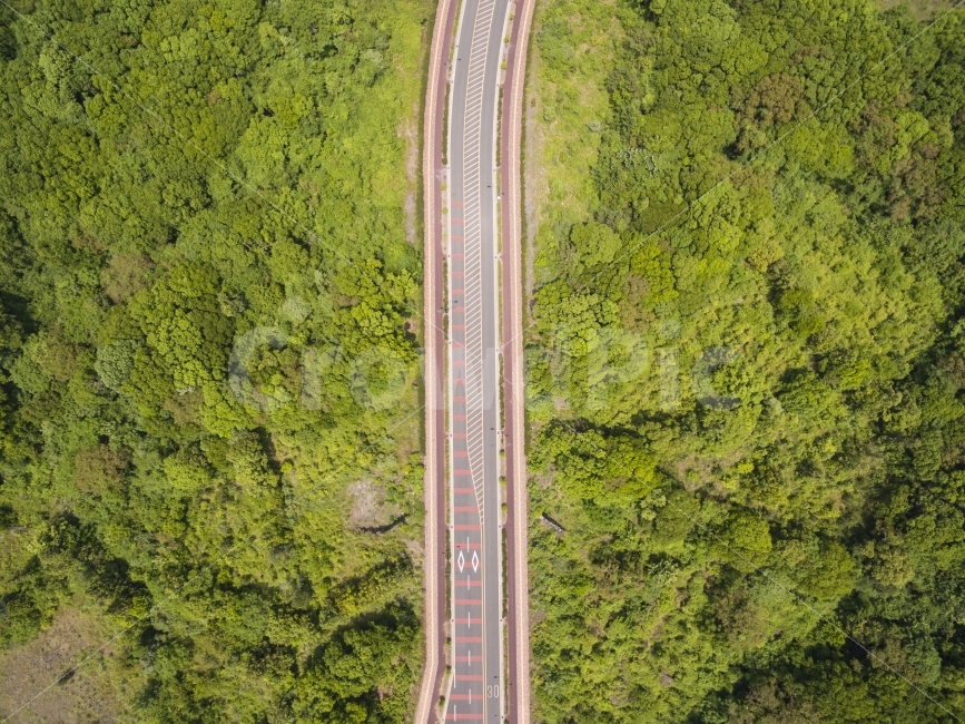 제주도,도로,길,숲,드론사진,자연,야외,녹색,자연,풍경,nature,landscape,교통,교통수단,traffic,transportation,outdoors,옥외,scenery,경치,road