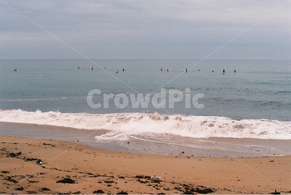 바다,나무,파도,하늘,제주도,자연,풍경,nature,landscape,해변,바다,beach,sea,감성,sensible,feeling,water,물,outdoors,옥외,ocean,대양