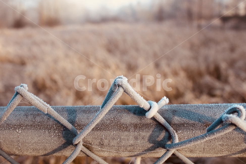 울타리,따듯함,기둥,photography,warmth