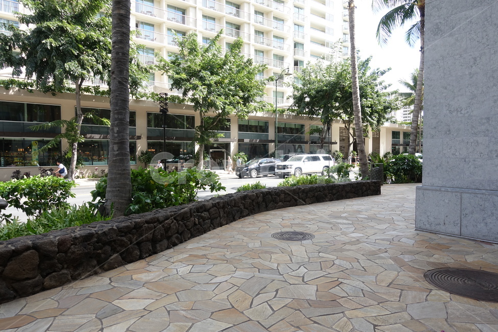 하와이,길거리,돌바닥,야자수,도로,hawaii,palmtree,streetview