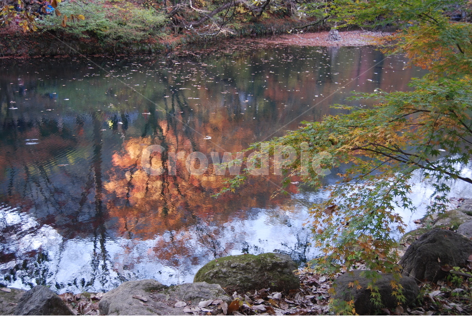 백암산,가을,자연휴양림,탐방로,공원,자연,풍경,nature,landscape,한국자연풍경,한국자연경관,korea nature landscape,water,물,outdoors,옥외,land,땅