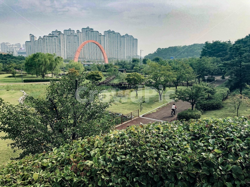 공원,나무,자전거,산책,아침,풀밭