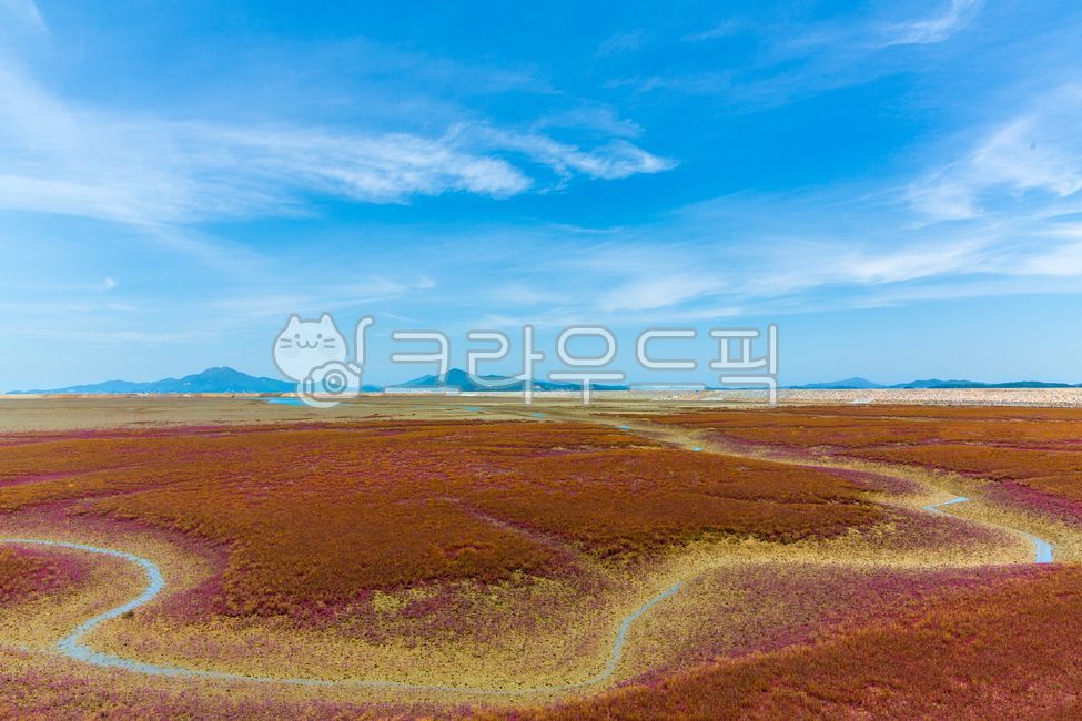 nature, 자연, outdoors, 옥외, 도랑, 사진,이미지,일러스트,캘리그라피 - yooofa작가