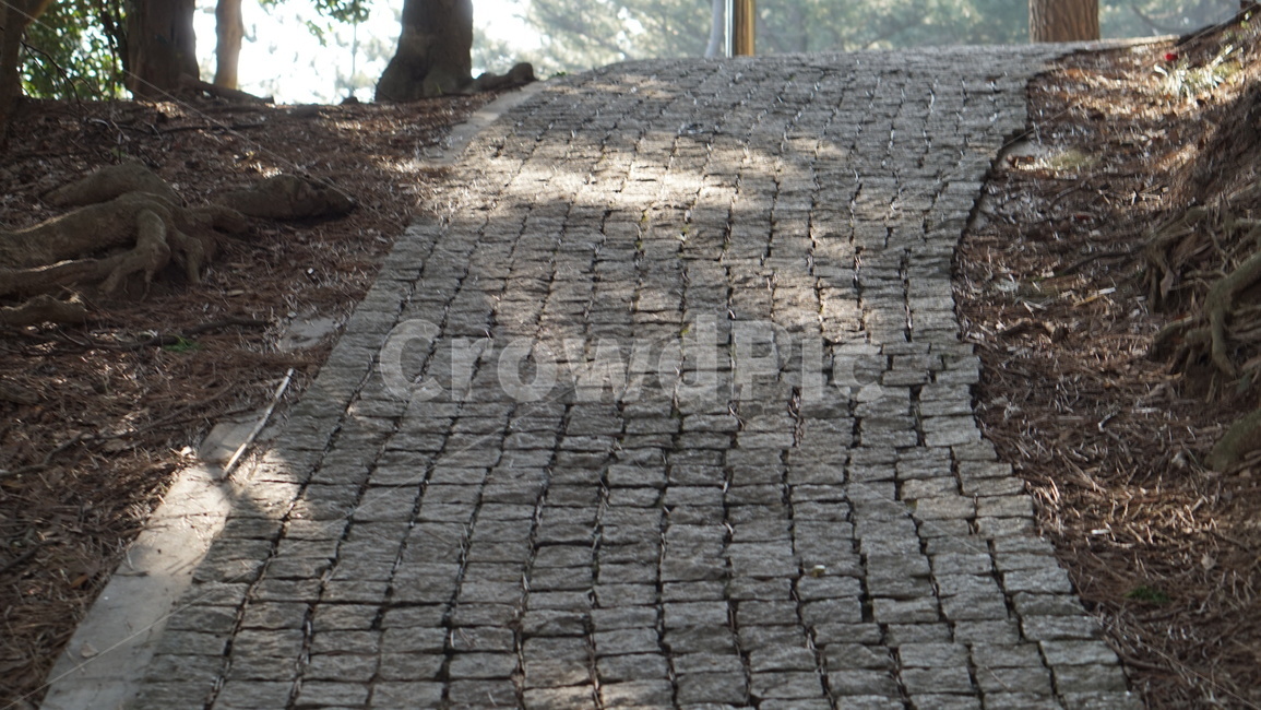울릉도,walkway,path,통로,pavement,포장,sidewalk,보도,길,감성