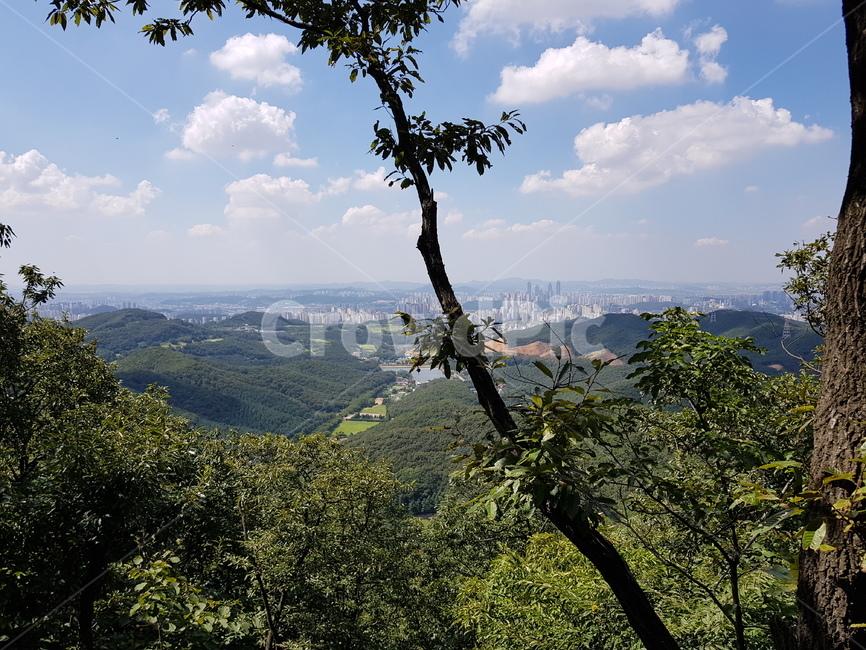 풍경,산,정상,자연,경관,높은곳,자연,풍경,nature,landscape,outdoors,옥외,tree,나무,plant,식물