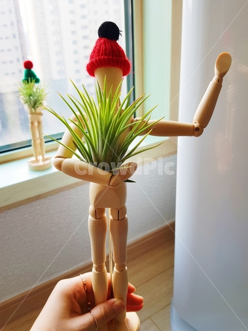 이오난사,틸란드시아,인테리어소품,인테리어식물,먼지먹는식물,소품,목각인형,식물,자연,plants,nature,조각상,동상,석상,조형물,statue,bronze statue,stone statue,연출,컨셉,콘셉,direction,concept