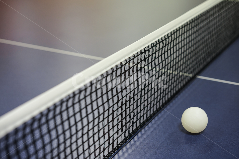 탁구,탁구공,네트,그물망,탁구대,tabletennis,스포츠,sport,스포츠,레저,운동,sports,leisure,exercise,사물,물건,오브젝트,thing,object,matter