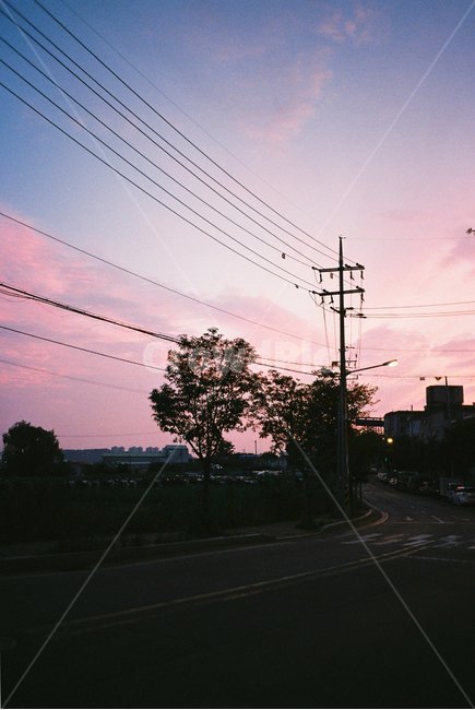 꽃,필름,풍경,노을,감성사진,필름카메라,자연,film,filmcamera,nature,landscape,colorful,pinksky,sky,sunset,flower,자연,풍경,nature,landscape,색깔,색상,색채,색감,color sense,color sensitivity,feeling of color,cable,케이블