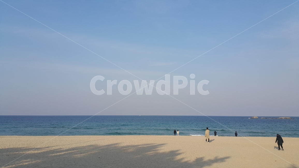 강원도,모래사장,해수욕장,수평선,평온