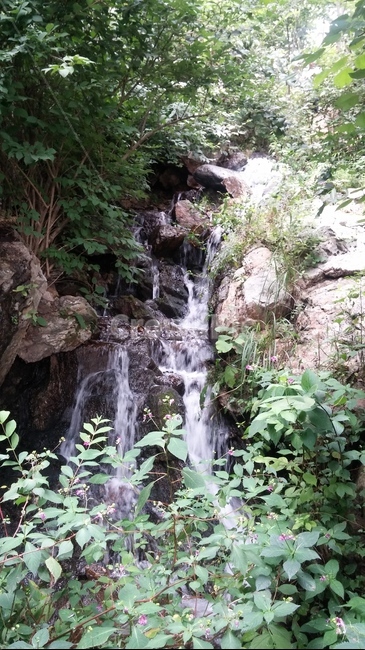 꽃,나무,돌,나비,벌,공원,숲,자연,풍경,nature,landscape,water,물,outdoors,옥외,river,강,waterfall,폭포