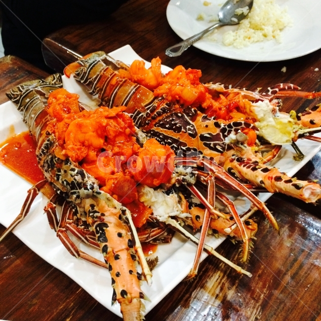 랍스터,로브스터,해산물,해물요리,휴양지,여름휴가,랍스터요리,해산물요리,해물,음식,식재료,요리,food,cook,meal,dishes,food reserves,수산물,해산물,fishery products,seafood,양식,서양음식,서양요리,western food,western dishes,western meal,western cook