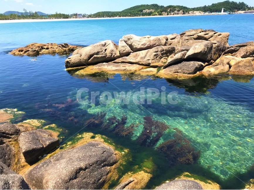 바다,청정바다,바위,한국바다,수초,sea,자연,풍경,nature,landscape,한국자연풍경,한국자연경관,korea nature landscape,promontory,곶