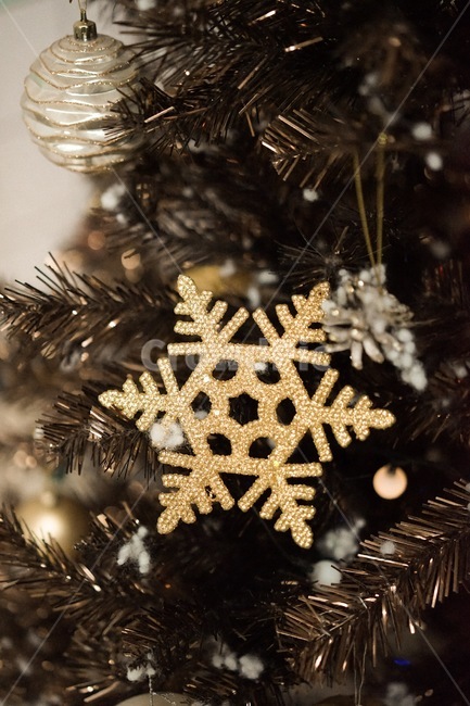 눈꽃,눈결정,겨울,트리,크리스마스,성탄절,겨울,계절,winter,season,메리크리스마스,성탄절,merry christmas