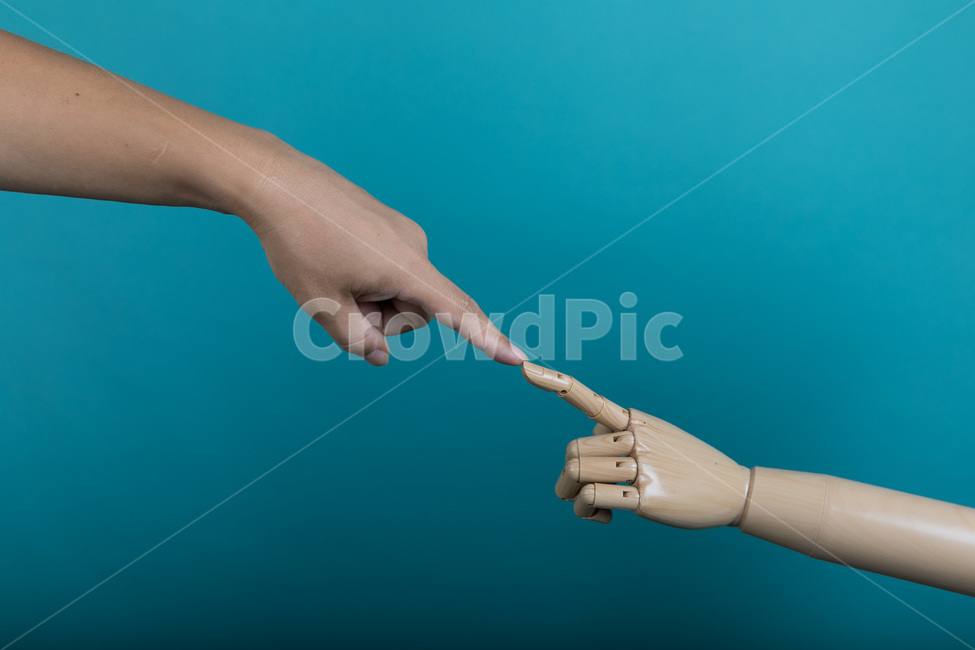 손,잡아,인간,비즈니스,개념,근접촬영,포인팅,마네킹,방향,인공,손가락,팔,관절,손톱,마주치다,hand,hold,human,business,concept,closeup,pointing,mannequin,direction,artificial,finger,arm,joints,nail,사람,인물,인간,human,person,신체일부,몸,body,연출,컨셉,콘셉,direction,concept