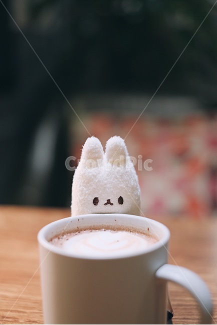 코코아,인형,감성사진,배경화면,컵,카페,커피,카페,coffee,cafe,감성,sensible,feeling