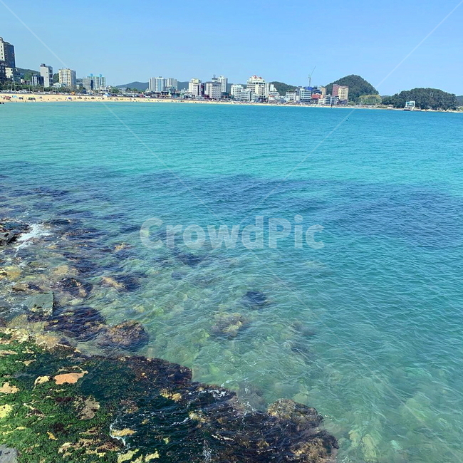 해변,바다,해수욕장,청량,맑음