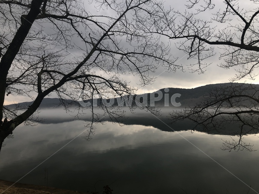 호수,반사,어둠,산,자연,물,나무,흐린날,tree,water,감성사진,구름,하늘,회색,감성,sentimental,sentimentalphoto,gray,sky,cloud,nature,dark,모노크로