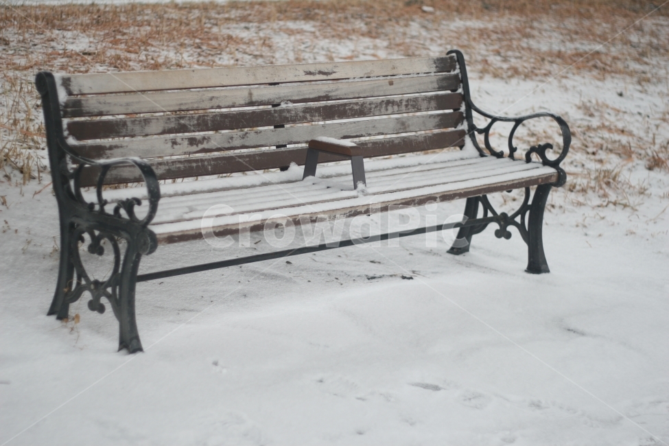 눈,겨울,차가움,하얀색,벤치,겨울,계절,winter,season