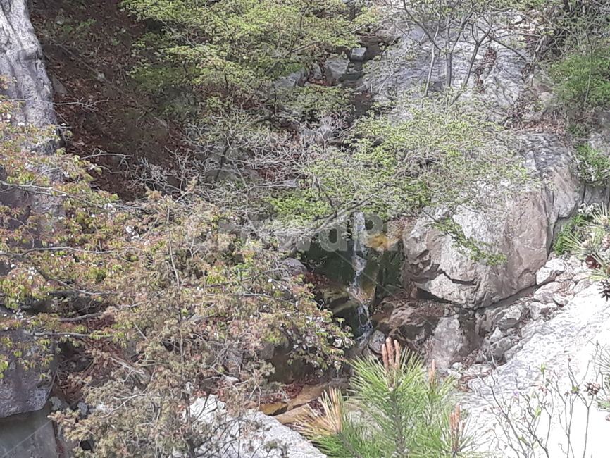 산,자연,폭포,나무,바위,자연,풍경,nature,landscape,outdoors,옥외,wilderness,황야,plant,식물