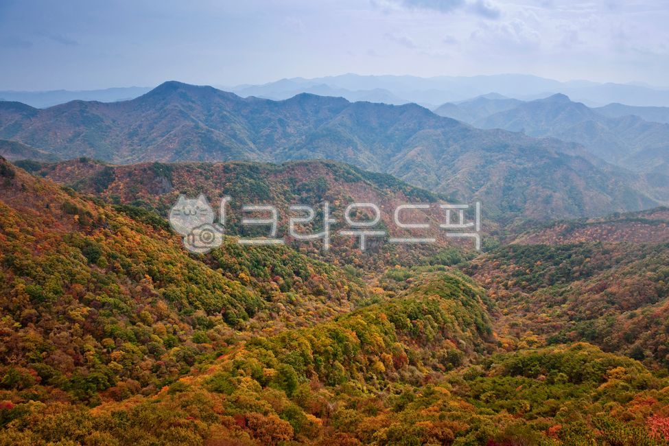주왕산,산,단풍,풍경,아름다운,다양한,나무,숲,바위,암석,하늘,가을,경관,경치,자연