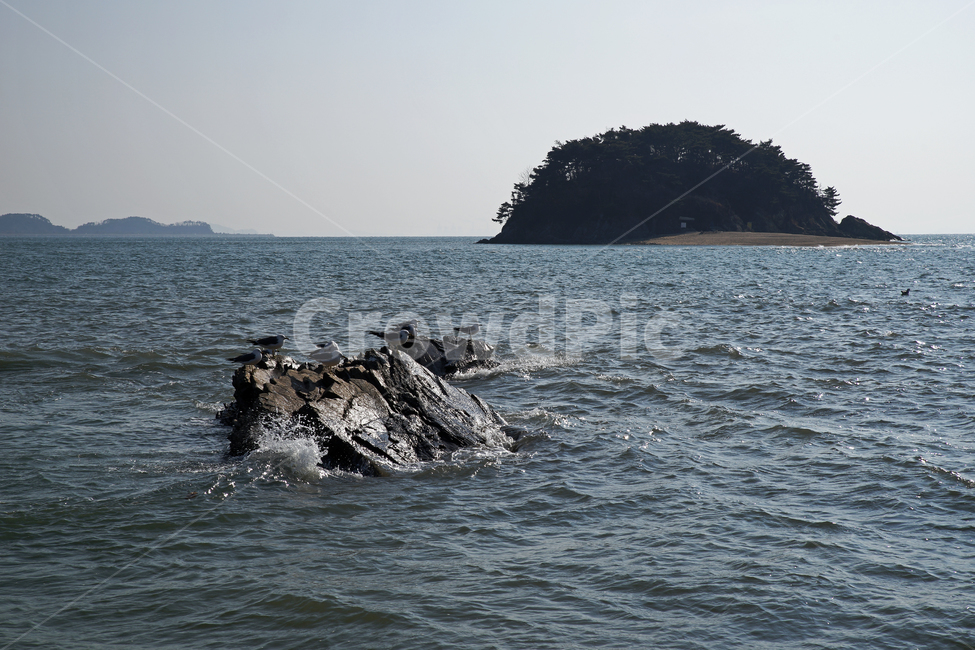 선재도,목섬,서해안,인천,바다,섬,바위,썰물,자연,풍경,nature,landscape