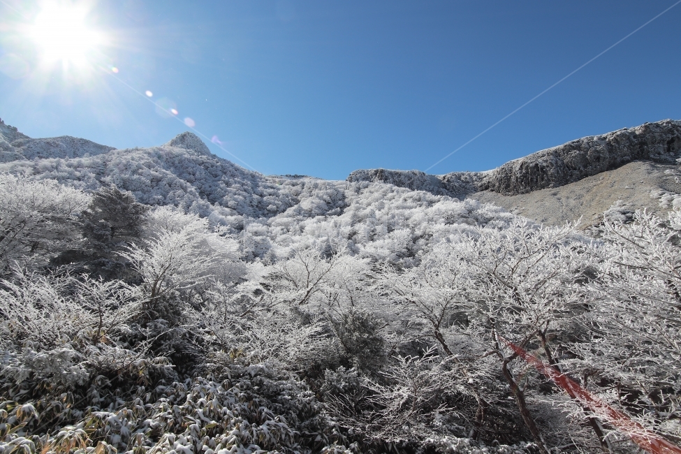 한라산,상고대,설산,겨울,겨울산행,눈꽃,진달래대피소,성판악,관음사,제주도,제주,백록담,겨울,계절,winter,season,자연,풍경,nature,landscape,한국자연풍경,한국자연경관,korea nature landscape,제주도,jeju,jeju island,outdoors,옥외,ice,얼음