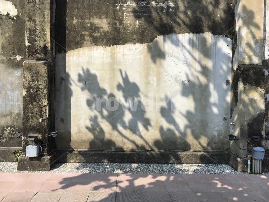그림자,꽃,빛,풍경,봄,소풍